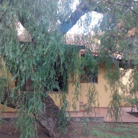 باليرمو B&B Eleonora المظهر الخارجي الصورة