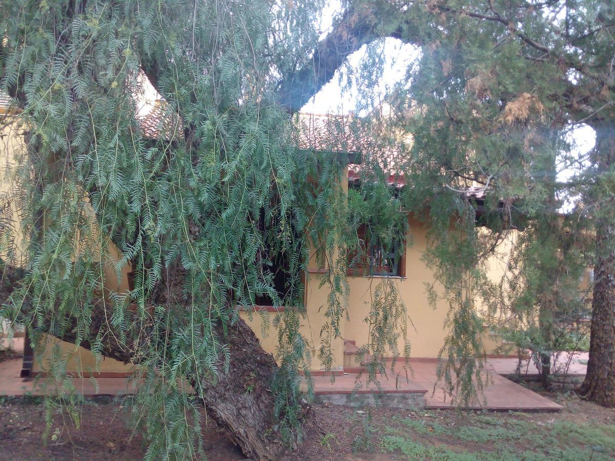 باليرمو B&B Eleonora المظهر الخارجي الصورة
